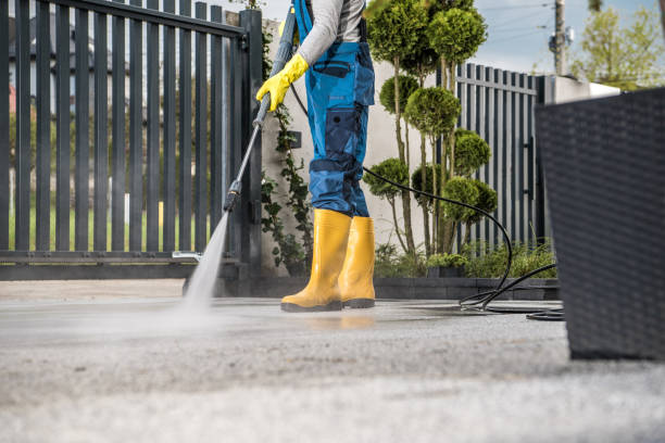Best Fence Cleaning  in Olga, FL